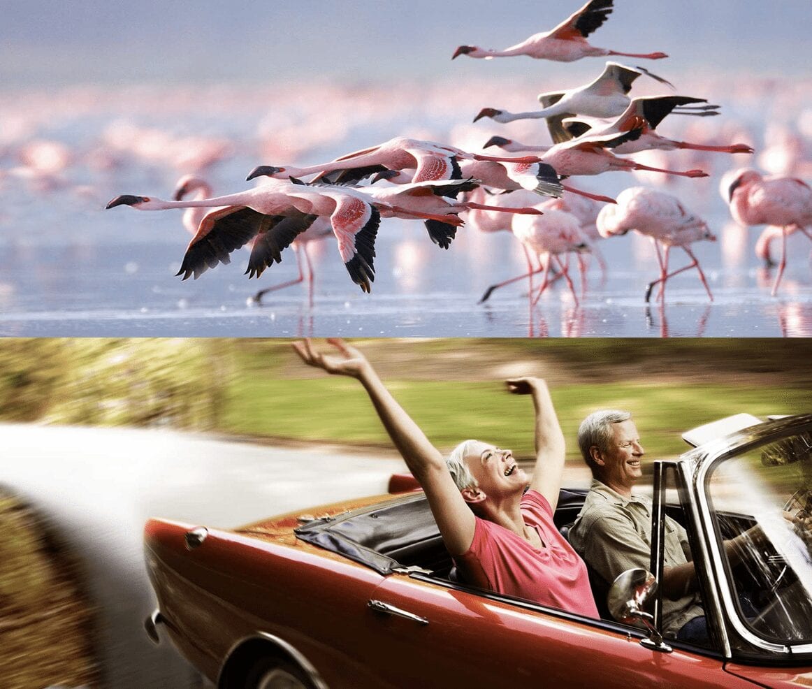Snowbirds Between States Snared By Auditors With Red Flags